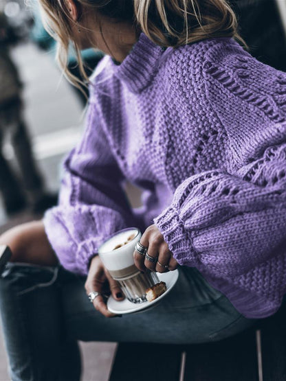 Pull Chic à Col Rond et à Manches Longues pour Femmes